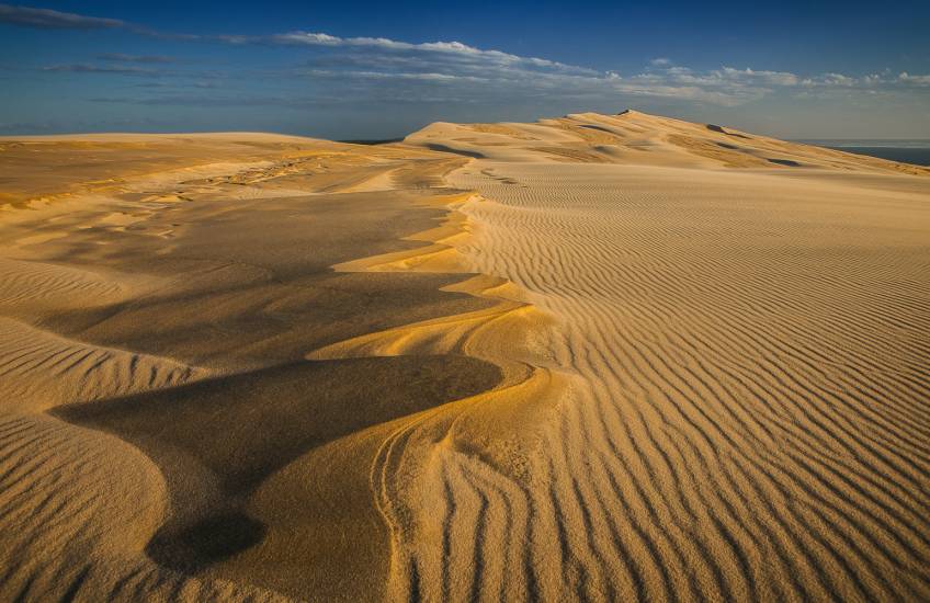 Photo - Dune du Pilat - Dune du Pilat #77